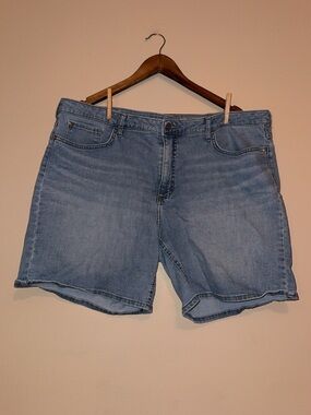 Vintage Lee Light Blue Denim Women’s Shorts - Classic Casual